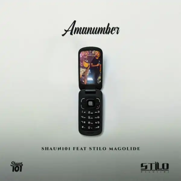 Shaun101 - AmaNumber ft. Stilo Magolide